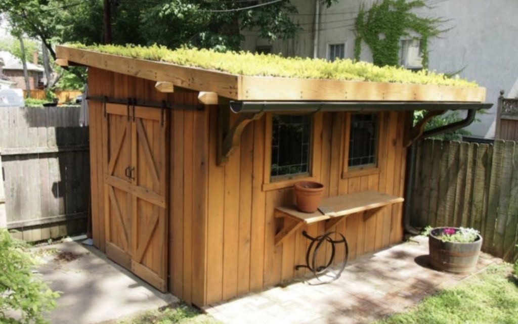 Shed house with living grass roof. 