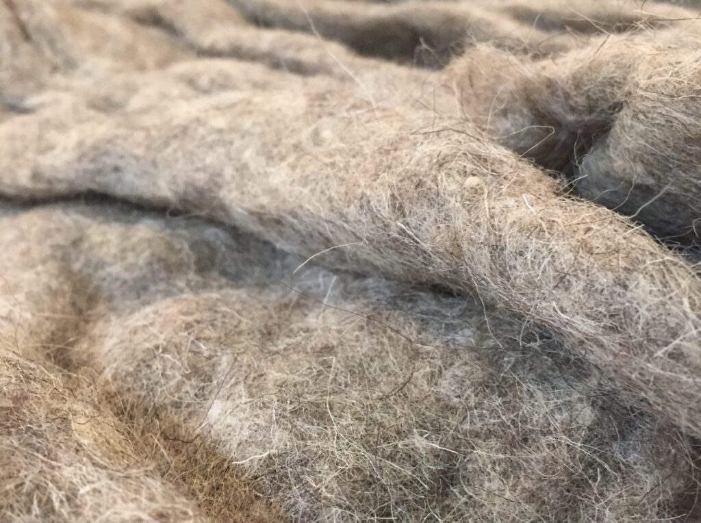 Sheep’s wool insulation 
