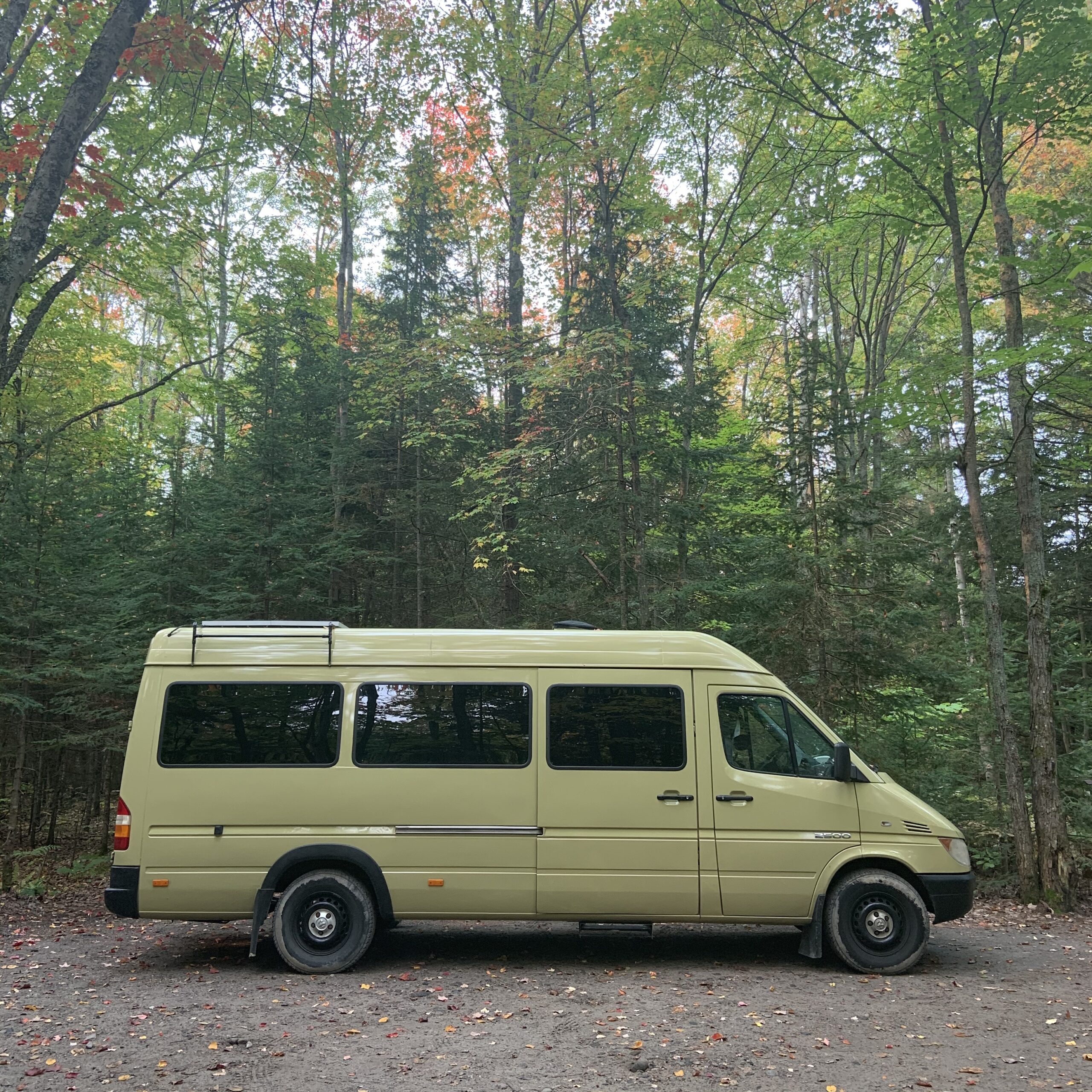 The Van, Sitting in a forest