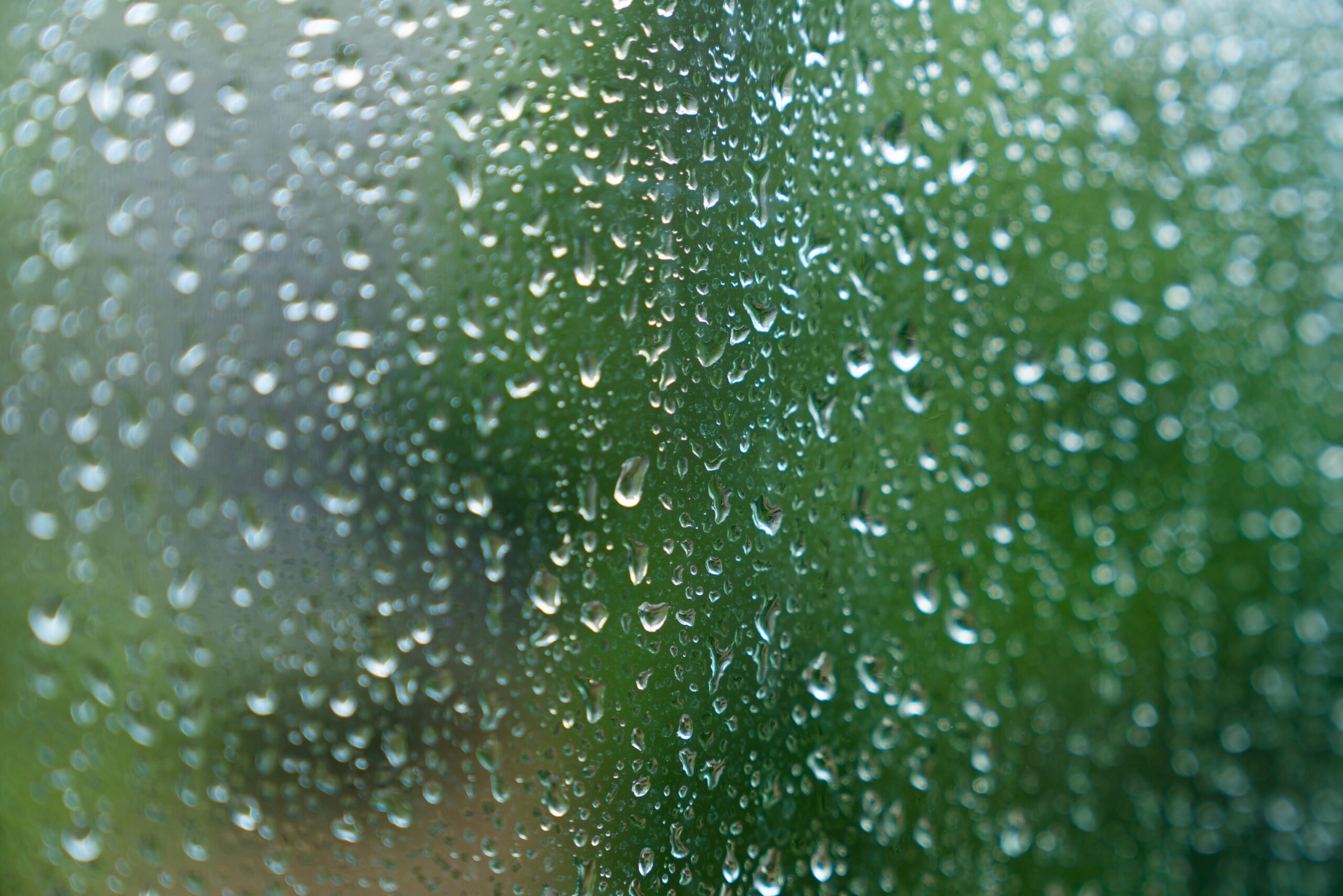 Condensation in a van