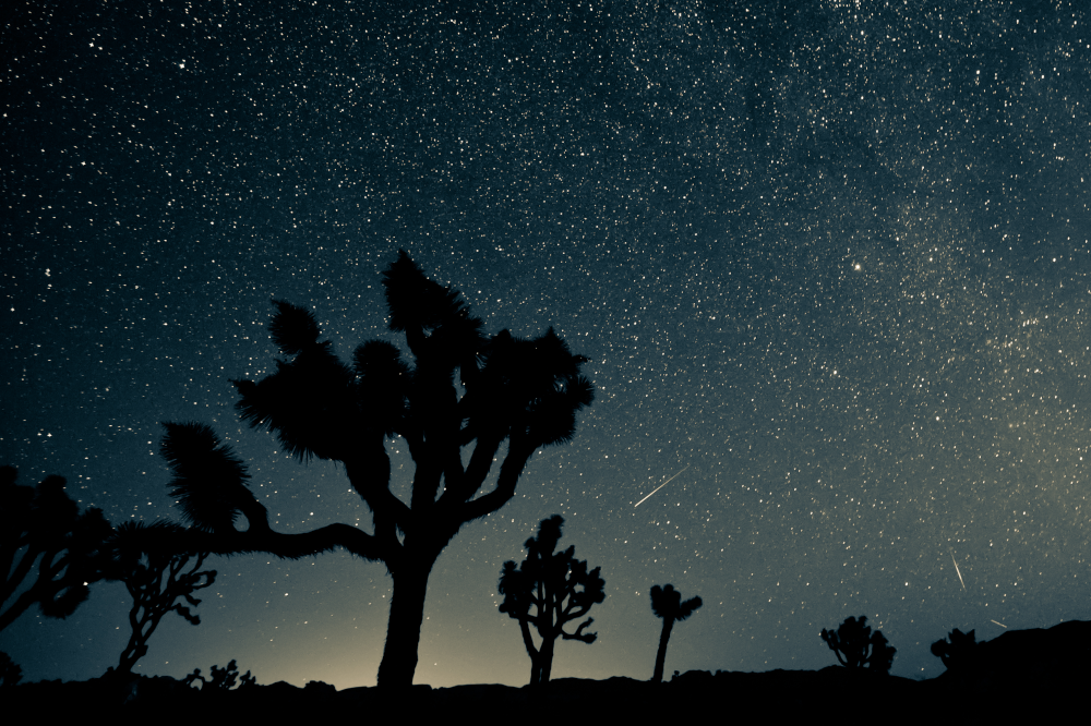 Stargazing at Joshua Tree National Park