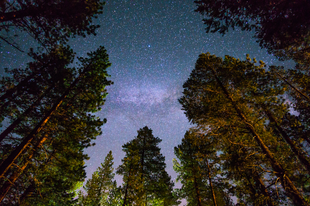 redwood-national-park-camping